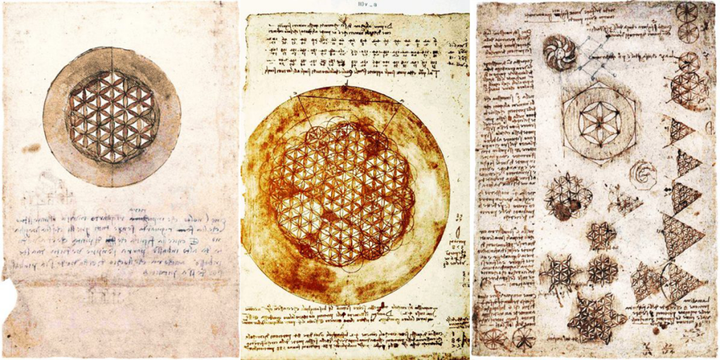 フラワー・オブ・ライフ